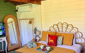 Blissful Wooden Haven Pet Friendly Near Parramatta